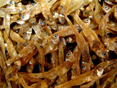 Harina de Pescado — anchoveta deshidratada peruana
