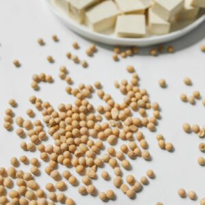 Harina Integral de Soya — versatilidad del frijol de soya