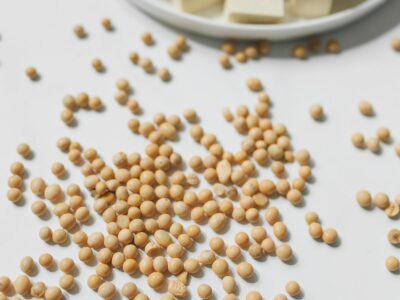 Harina Integral de Soya — versatilidad del frijol de soya